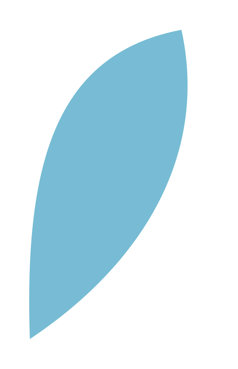 Blue recovery form